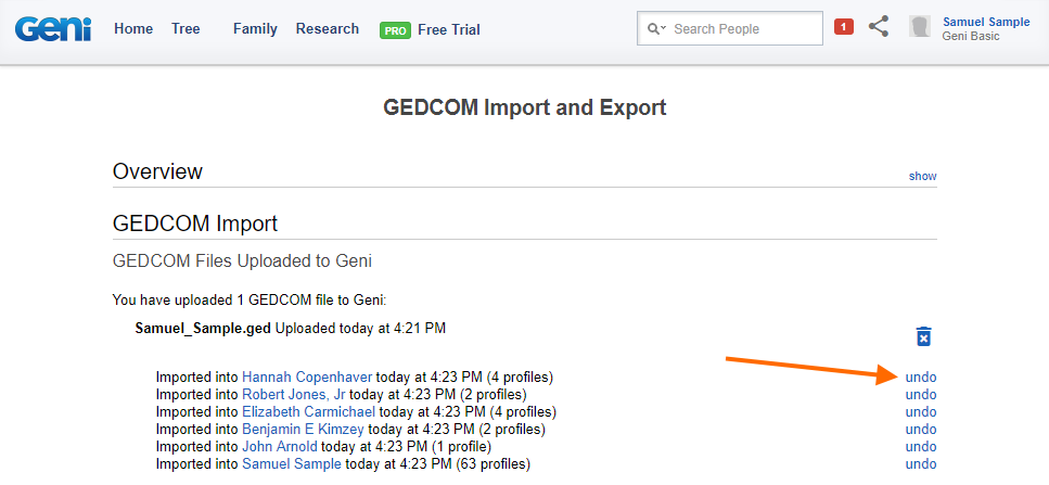 10_import_complete_undo.png