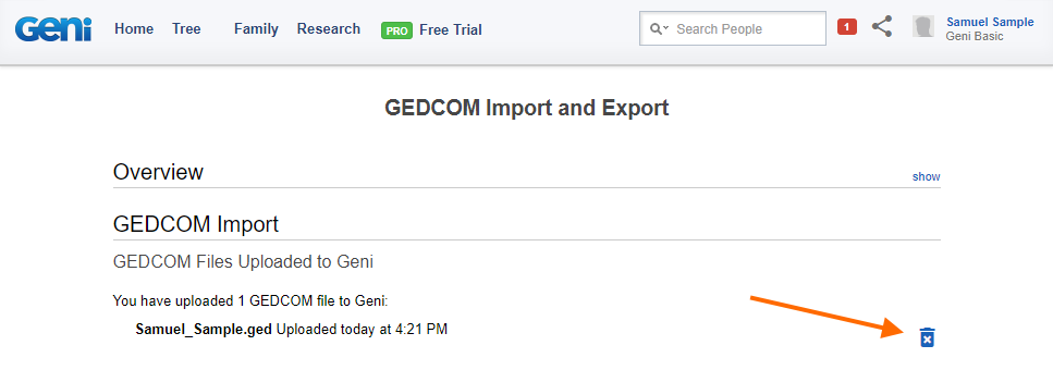 10_import_complete_delete_gedcom.png
