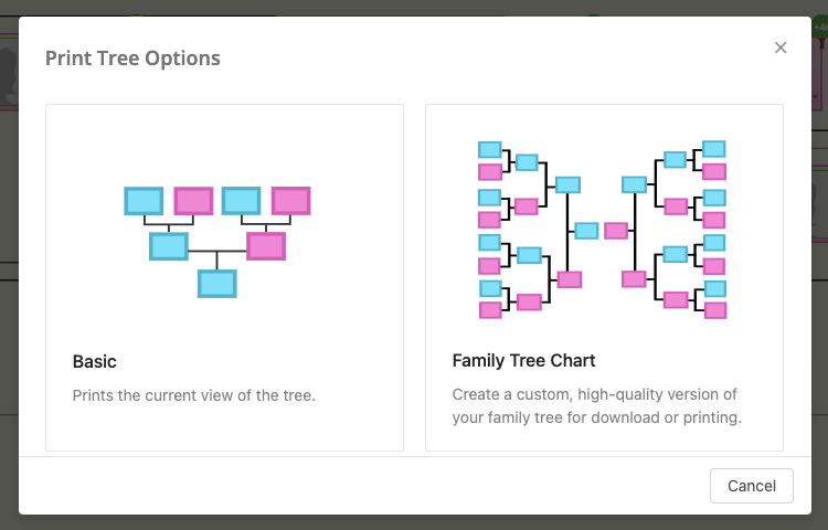 family generation chart